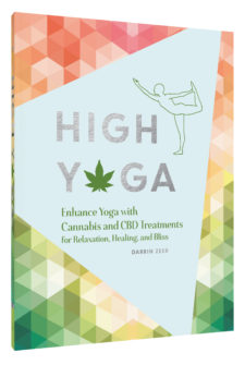 High Yoga by Darrin Zeer 420 High Yoga Retreats